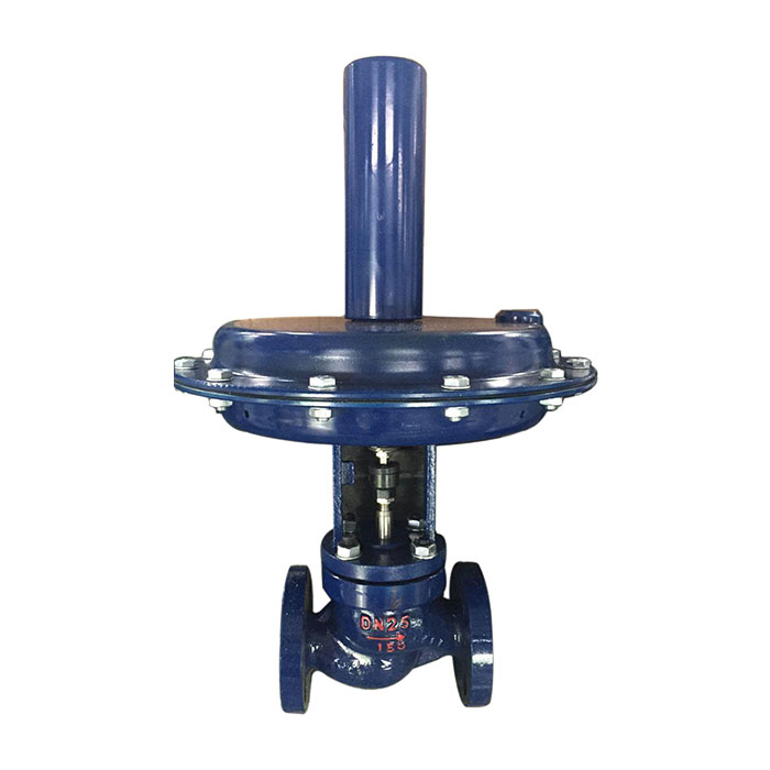 ����ʽ���ڷ�